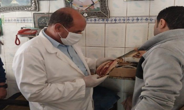 ضبط 8.5 طن أسماك غير صالحة في حملات مكثفة لـ بيطري الغربية استعدادًا لأعياد الربيع