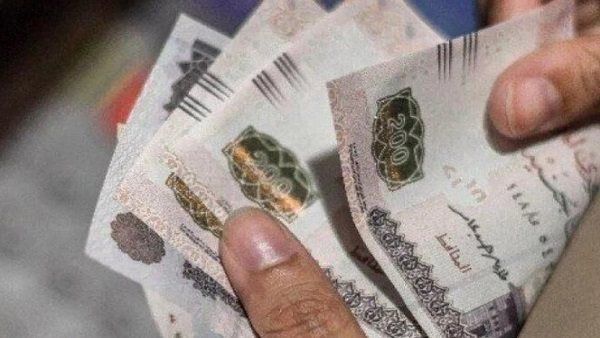 مرتبات المعلمين