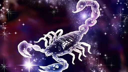 e7d9bc3b54.jpg