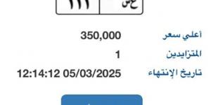 بوابة مرور مصر الإلكترونية تتطرح لوحة مميزة سعرها 350 ألف جنية