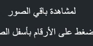 عروض نوري الأسبوعية 17 مارس 2025 الموافق 17 رمضان 1446 عروض شهر الخير