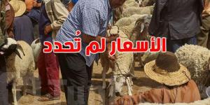 عيد الاضحى 2025: الأضاحي متوفرة للتونسيين والأسعار تُحدد قريبًا