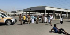 بيئة العاصمة المقدسة تنفذ فرضية تزاحم في سوق المواشي