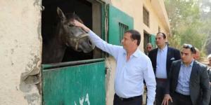 وزير الزراعة ومحافظ القاهرة يتفقدان محطة الزهراء للخيول العربية الأصيلة