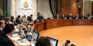الحكومة توافق على لائحة صندوق تحسين الخدمة بمستشفيات ومراكز الصحة النفسية