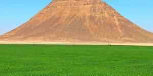 تنفيذ مشروع مسار جبل ساق المعلم الأثري والسياحي