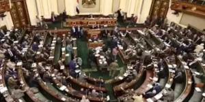 لحماية المواطنين .. النائب أيمن أبو العلا يطالب بسرعة إصدار لائحة قانون تنظيم الإعلان عن المنتجات الصحية