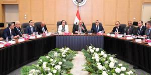 تكليف المجموعة الوزارية للتنمية الصناعية بدراسة طلبات إقامة المناطق الحرة الخاصة