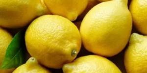 الزراعة توضح آلية منح رخص استيراد الليمون