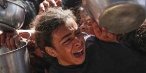 نصف مليون شخص معرضون للموت جوعاً.. تحذير من كارثة إنسانية وشيكة في غزة