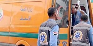 مصرع شخص وإصابة 2 آخرين صدمهم قطار بالقليوبية