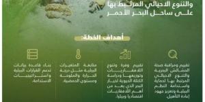 الحياة الفطرية تُطلق خطة لمراقبة الحشائش البحرية والتنوع الأحيائي المرتبط بها على امتداد ساحل البحر الأحمر