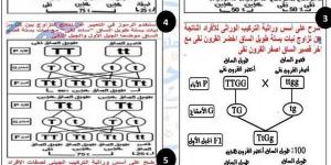 أبرز 5 مسائل وراثية متوقع في العلوم لـ الصف الثالث الاعدادي