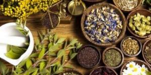 اعشاب مهمة تساعد الطلاب على الحفظ والتركيز