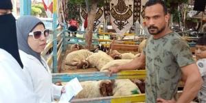 حملة للطب البيطري ببورسعيد للتفتيش على منافذ بيع الخراف واللحوم 