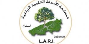 مصلحة الابحاث Lari حذرت من الحرائق بسبب موجة الحر التي تضرب لبنان