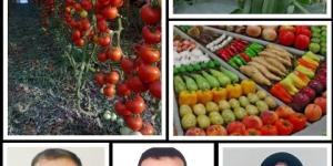 الزراعة الحيوية.. بوابة مصر للأسواق العالمية