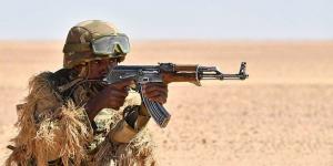 وزارة الدفاع الجزائرية تعلن تصفية 4 إرهابيين على الحدود الجنوبية الشرقية وتكشف هوياتهم