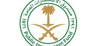 عدد شركات محفظة صندوق الاستثمارات يصل إلى 225 شركة بنهاية 2024