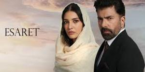 مسلسل الاسر الحلقة 377