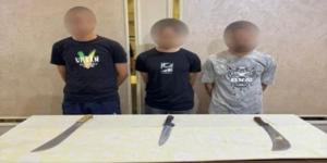 القبض على المتهمين بالاعتداء على سيدة وسرقة منقولاتها في الدقهلية