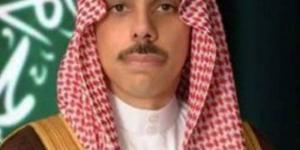 وزير الخارجية ونظيره الهولندي يبحثان التطورات في قطاع غزة (هاتفيًا)