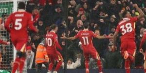 بث مباشر مباراة ليفربول ضد بورنموث.. جودة عالية وبدون تقطيع