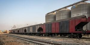 نقل ٣٨٣٦ طن قمح من ميناء دمياط بالقطار إلى صوامع شبرا 