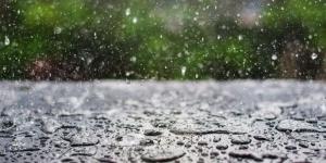 طقس السبت: خلايا رعدية مصحوبة بأمطار غزيرة بهذه الجهات