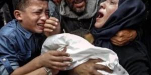 عدد شهداء الحرب الإسرائيلية على غزة يقترب من 62 ألف فلسطيني
