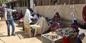 السودان: تسجيل 270 حالة وفاة بالكوليرا في إقليم دارفور