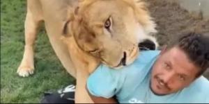 ليبي يطلق أسداً على عامل مصري والسلطات الأمنية تحقق.. فيديو