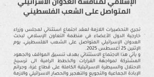 اجتماع طارئ للتعاون الإسلامي لمناقشة العدوان الإسرائيلي على الشعب الفلسطيني