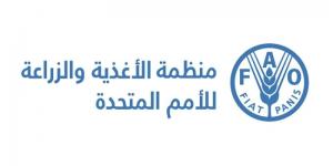 الفاو تحذّر من خطر انتشار الجراد في عدة مناطق في القارة الأفريقية بحلول 2026