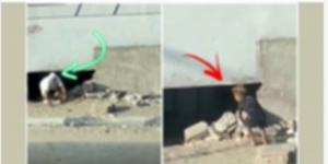 حقيقة «الثقب الأسود» في الهرم.. مصدر في محافظة الجيزة يكشف تفاصيل جديدة