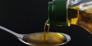 مصر تحتل المركز الثاني عالمياً في تصدير زيتون المائدة 