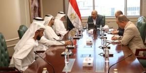 وزير الكهرباء يبحث مع شركة مصدر سبل التعاون ومتابعة تنفيذ المشروعات وفق الجداول الزمنية