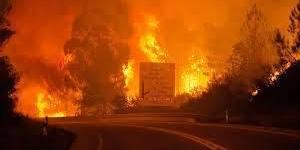 مصرع عنصر إطفاء في حرائق الغابات في البرتغال