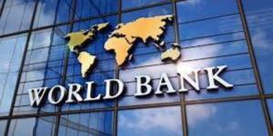 البنك الدولي يمنح مدغشقر 100 مليون دولار لدعم شركة الكهرباء والمياه