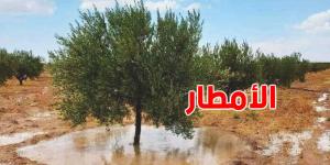 القصرين تعيش أجواء ممطرة مساء اليوم