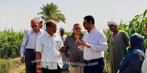 وكيل زراعة سوهاج يتفقد زراعات دوار الشمس والطماطم بكوم بدر