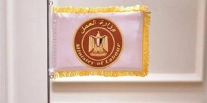 تبدأ براتب شهري 9000 جنيه.. شروط التقديم في وظائف وزارة العمل
