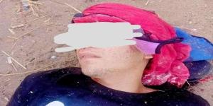 مصرع شاب في تصادم مروع بين دراجة نارية وسيارة ملاكي بالقليوبية