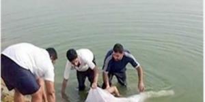 انتشال جثمان شخص القي بنفسه في مياه النيل بالمنصورة