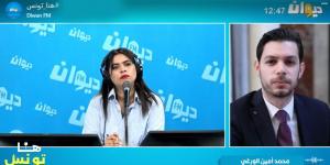 النائب محمد أمين ورغي: رئيسة الحكومة تعرض مشاريع كبرى على نواب اليابان.. والبرلمان التونسي مغيّب