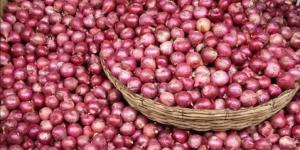 مصر الثالثة عالميا في تصدير البصل المجفف