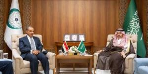 السعودية ومصر تبحثان تداعيات العدوان الإسرائيلى على غزة