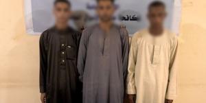 ضبط 3 عناصر إجرامية بالمنيا بتهمة النصب والاحتيال على المواطنين