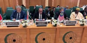 وزير الخارجية يستعرض جهود مصر لدعم الشعب الفلسطيني في قطاع غزة