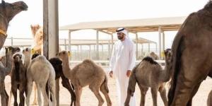 5 طرائق لتعزيز وجبة غداء طفلك